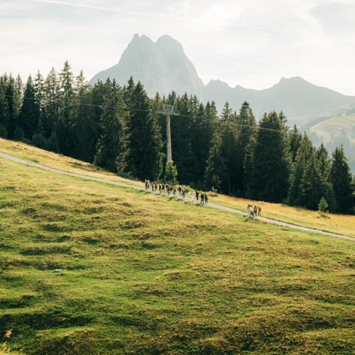 Wanderung Eggli 2